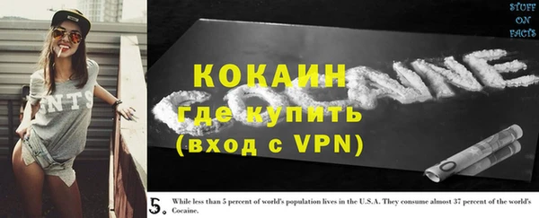 ешки Саяногорск