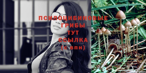 дмт Алексеевка