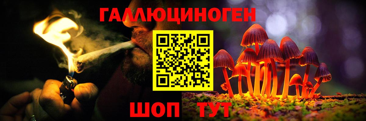 Псилоцибиновые грибы мицелий Слободской